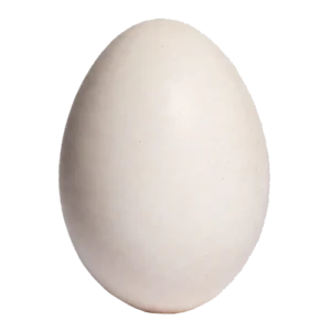 Domaća jaja