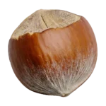 Lešnik