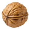 Orah 1. klasa
