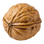 Orah 1. klasa