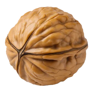 Orah 1. klasa