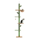 Cat Scratching Posts