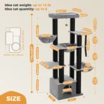 Cat Shelves