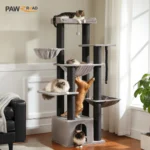 Cat Cages